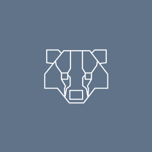 BadgerView Software License