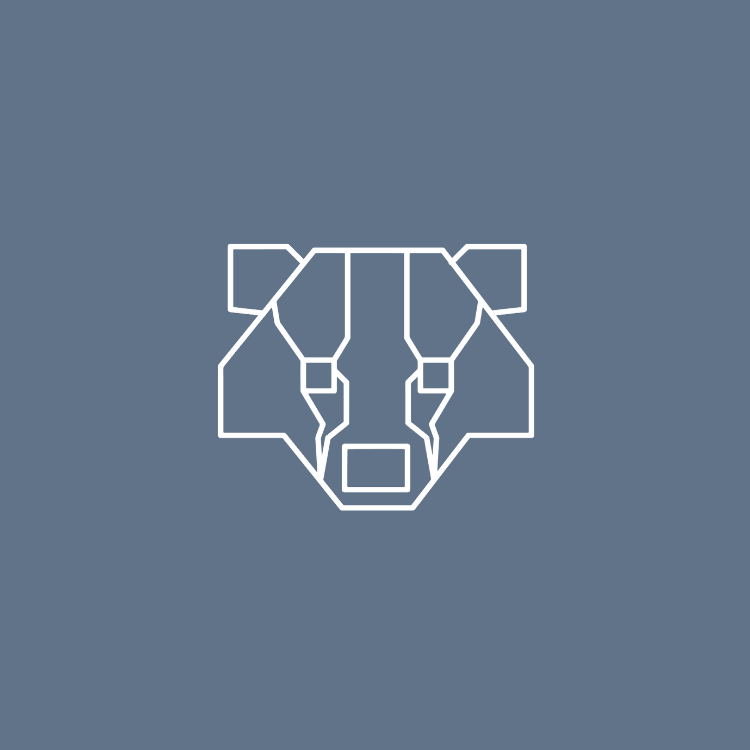 BadgerView Software License